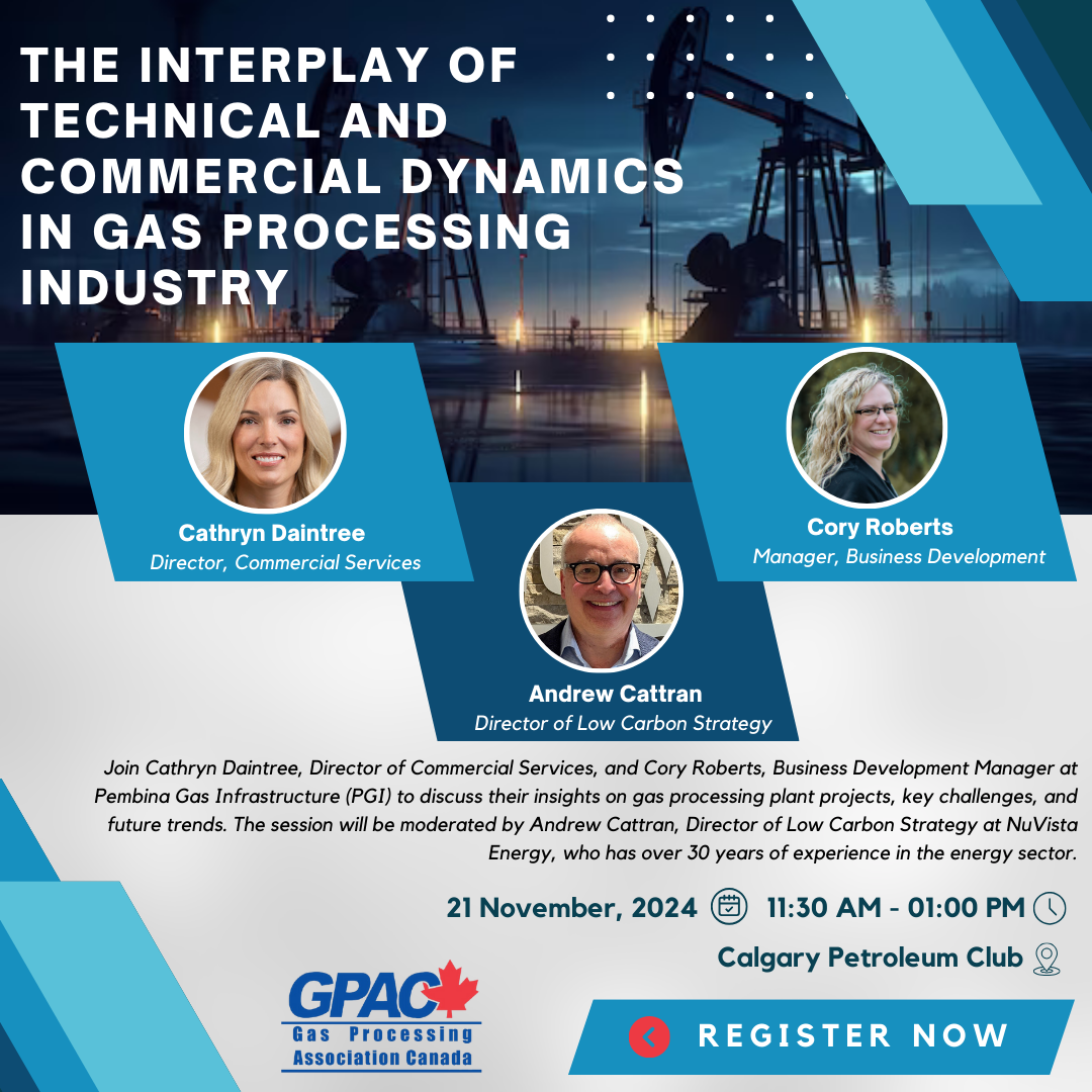 The Interplay of Technical and Commercial Dynamics in the Gas Processing Industry